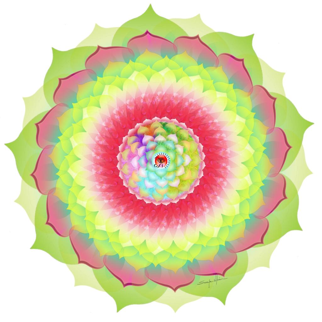 Una Mirada a tu Interior